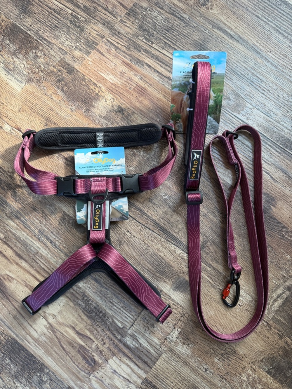 Ollydog Alpine Reflective Comfort Harness and Flagstaff Adjustable Leash